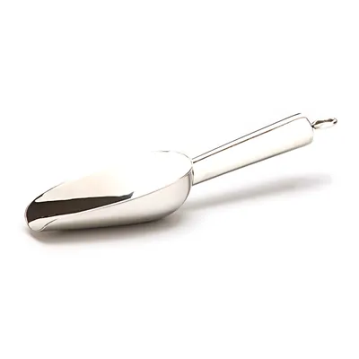 Steel Ice Scoop