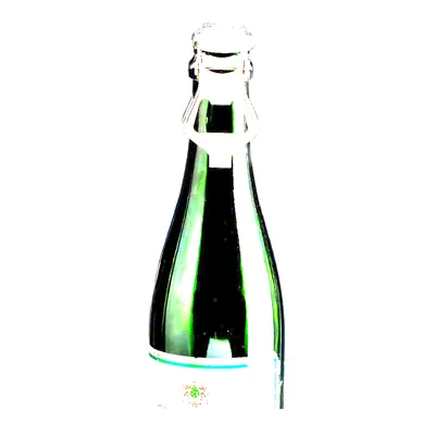 Steel Champagne Stopper and Bottle Opener