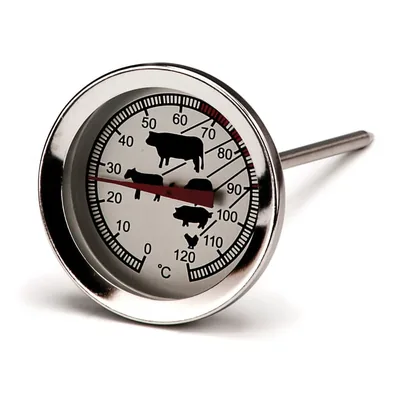 Analogue Thermometer