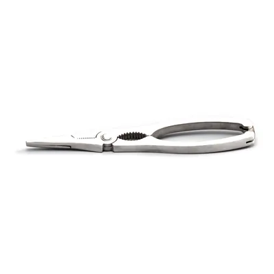 Lobster Shears