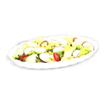 Polikarbonat Teşhir Tabağı 41,5 x 29,5 H: 5,5 cm