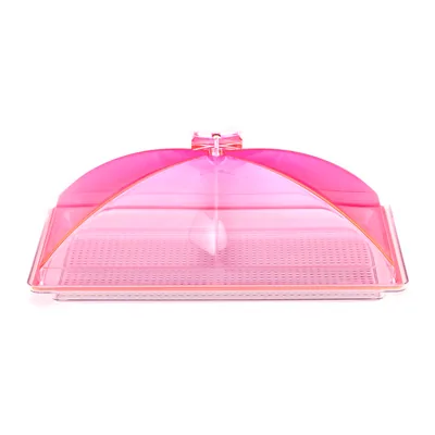 Container with Polycarbonate Tray and Acrylic Cover / Small 28 X 43 cm