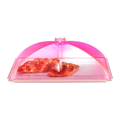 Container with Polycarbonate Tray and Acrylic Cover / Large 35 x 55 cm