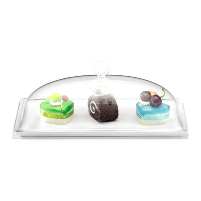 Container with Melamine Base and Polycarbonate Cover (K 2044) 18 x 35 cm