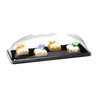 Container with Melamine Base and Acrylic Cover 20 x 45 x H: 13 cm