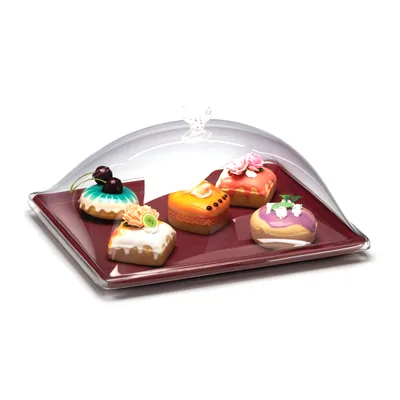 Container with Melamine Base and Acrylic Cover 27 x 33 x H: 14 cm