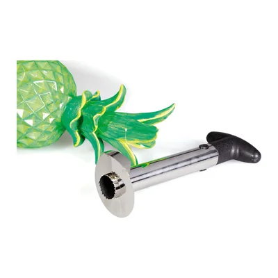 Pineapple Slicer
