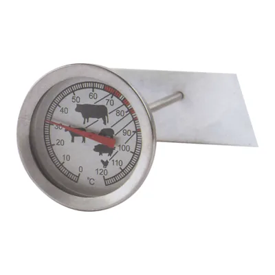 Frozen Meat Thermometer