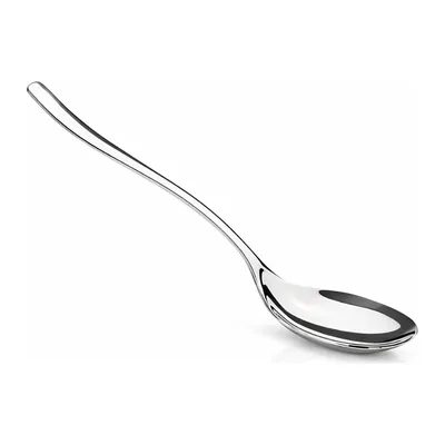 Premium Serving Spoon 5.5 x 24 cm
