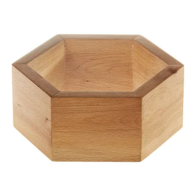 Hexagonal Display Riser x