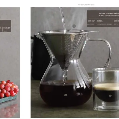 Coffee Brewer with Steel Filter
